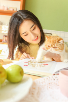 完美世界